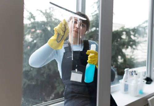 Nettoyage de vitres intérieures et extérieures à Dornecy